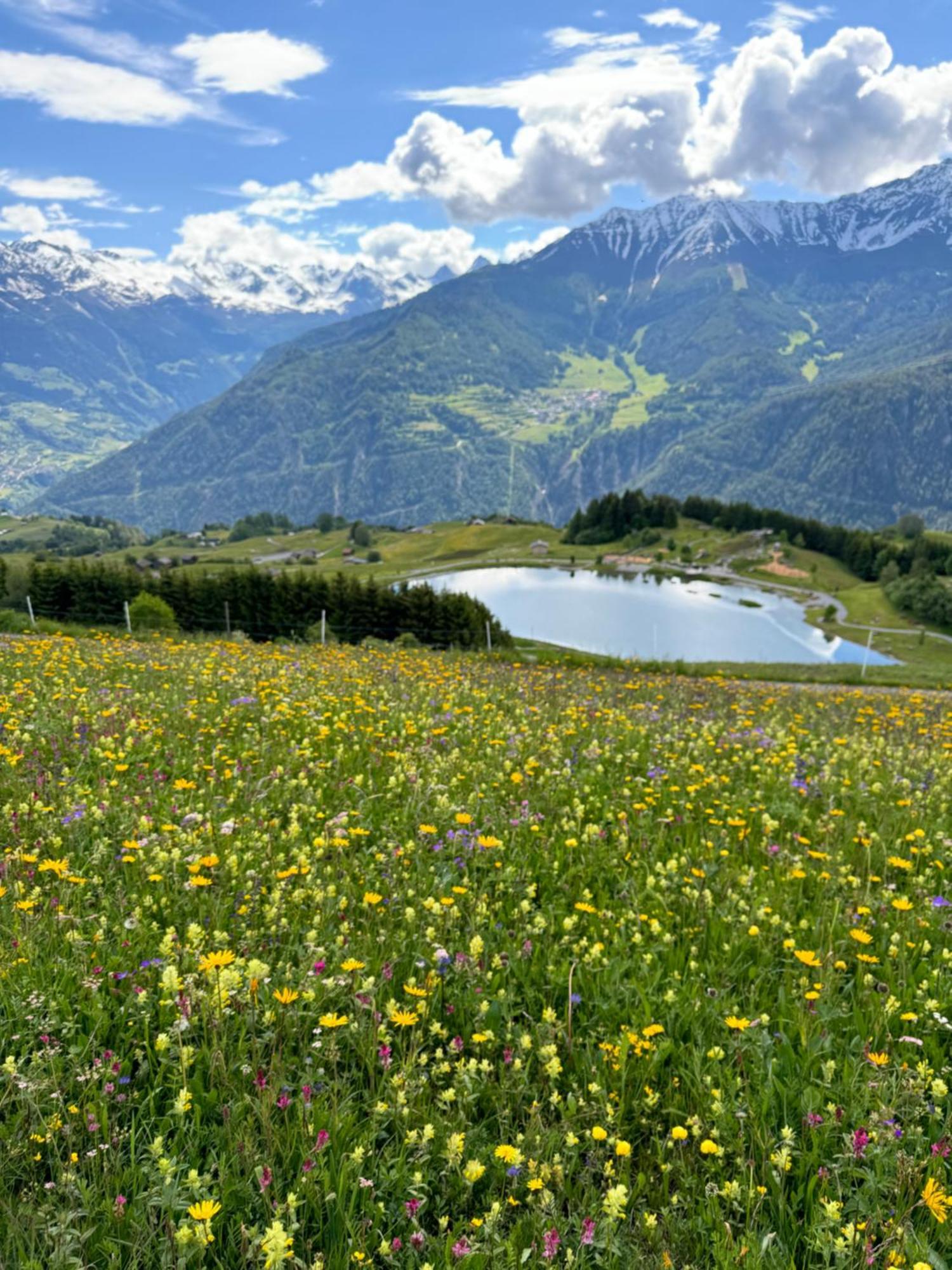Martinshof Ladis Inklusive Super Sommercard Sommerseilbahnticket Bagian luar foto